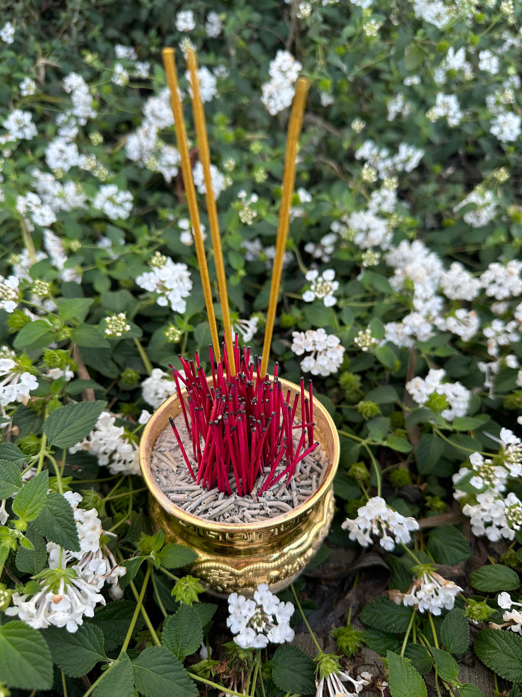 1 lb pack of Khmer ritual incense sticks (Touk) for traditional ceremonies. Perfect for Buddhist rituals and memorial offerings. $30